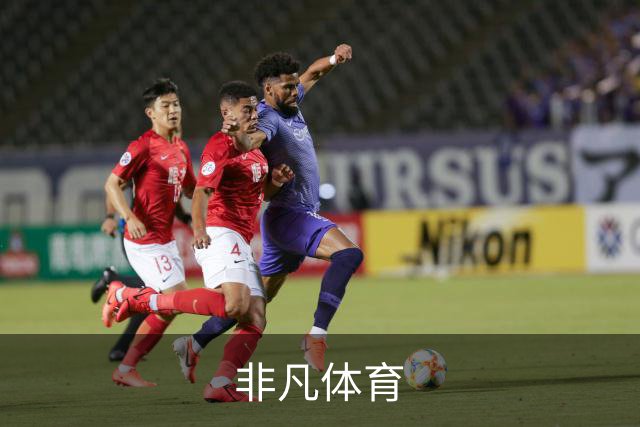非凡体育公司简介图片